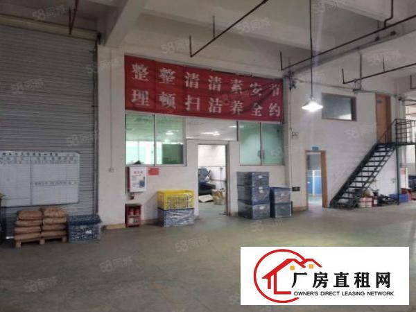  凤岗油甘埔原房东一楼1550平带办公室装修卸货平台厂房出租