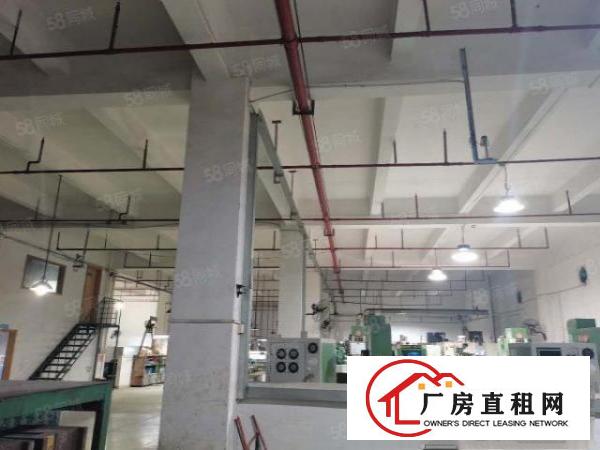  凤岗油甘埔原房东一楼1550平带办公室装修卸货平台厂房出租