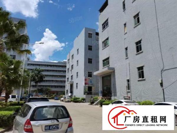  凤岗雁田厂房出租3000平方精装修水电齐全空地超大可分租
