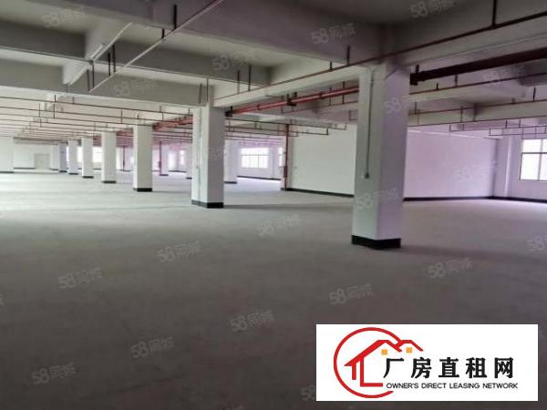  凤岗雁田厂房出租3000平方精装修水电齐全空地超大可分租