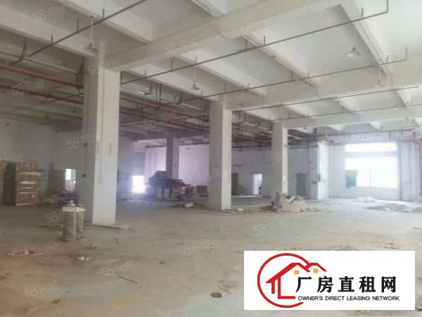  凤岗金凤凰工业区5000平方原房东出租，工业用地空地大可分租