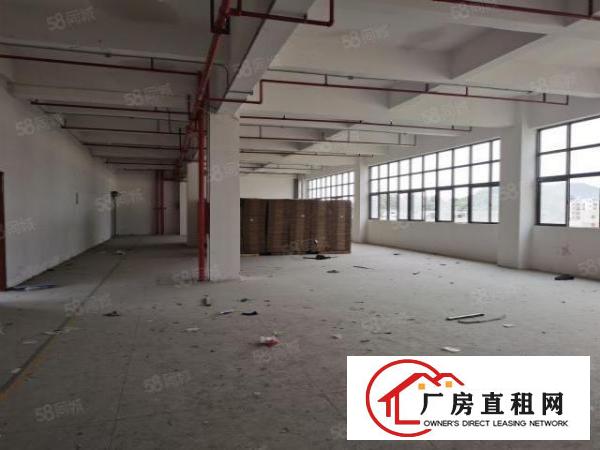  凤岗金凤凰工业区5000平方原房东出租，工业用地空地大可分租