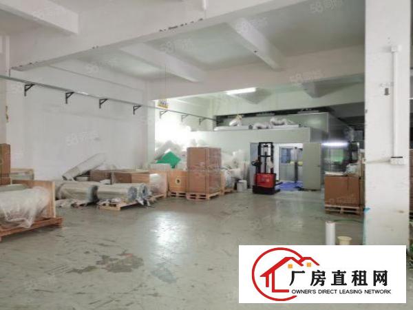  凤岗金凤凰工业区5000平方原房东出租，工业用地空地大可分租