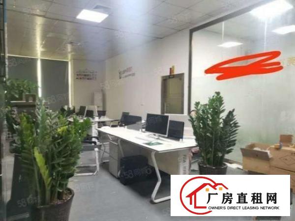  凤岗金凤凰工业区5000平方原房东出租，工业用地空地大可分租