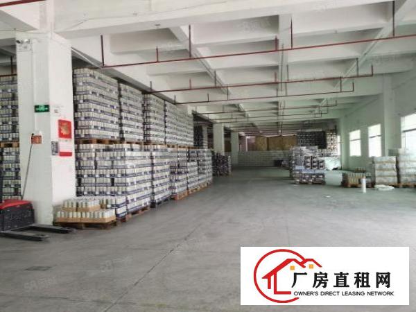  凤岗金凤凰工业区5000平方原房东出租，工业用地空地大可分租