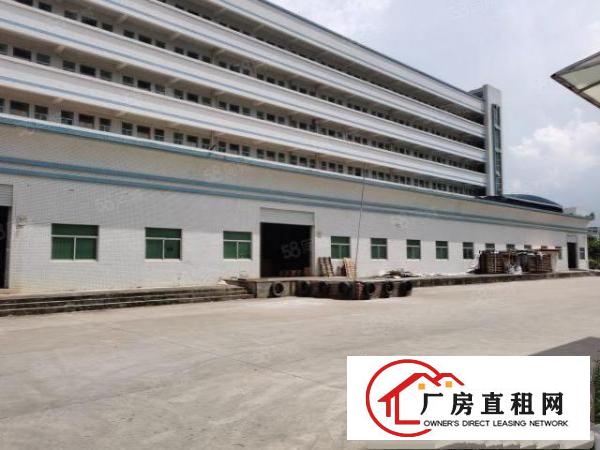  凤岗金凤凰工业区5000平方原房东出租，工业用地空地大可分租