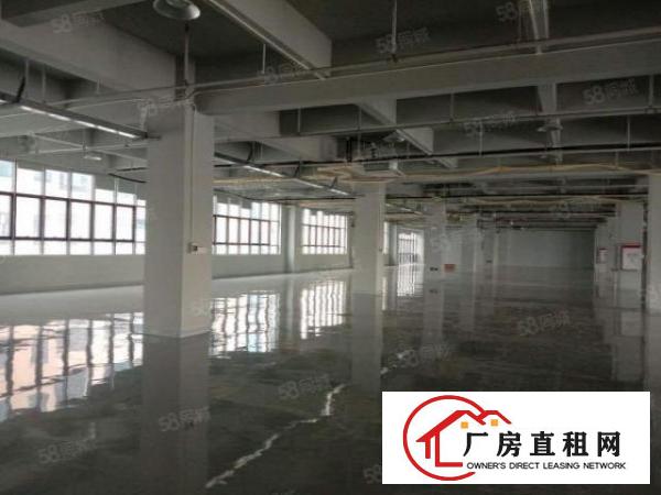  凤岗红本高音产业园新出4楼2755平方无尘车间出租
