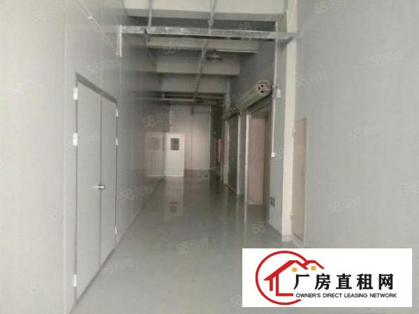  凤岗红本高音产业园新出4楼2755平方无尘车间出租