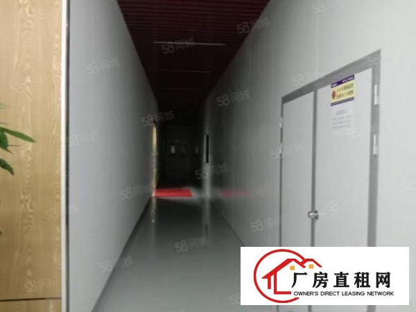  凤岗红本高音产业园新出4楼2755平方无尘车间出租