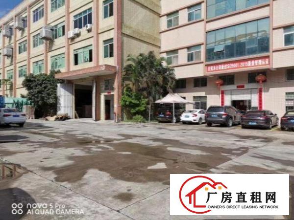  凤岗金凤凰大道旁标准2楼带装修办公室厂房出租1300平