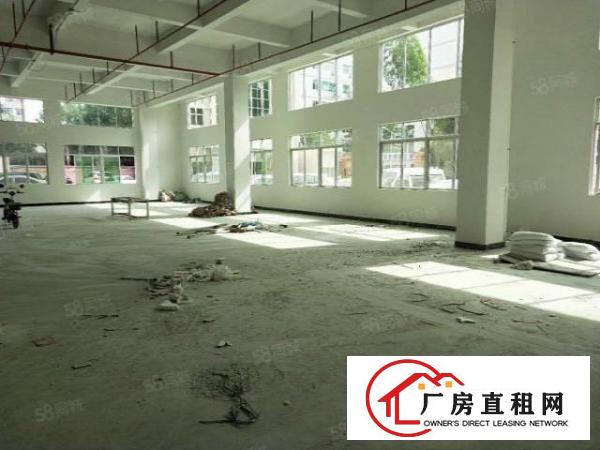  凤岗官井头一楼九成新500平方厂房出租，高度5.5米