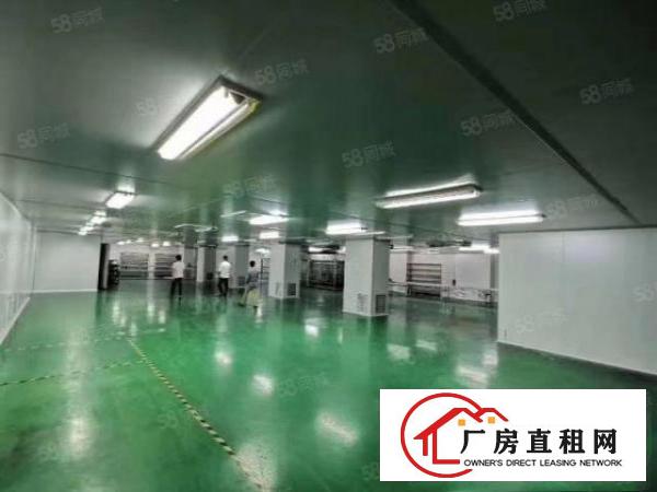  凤岗碧湖大道楼上2500平方豪华精装修水电办公室无公摊出租