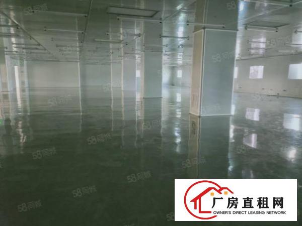  凤岗原房东无尘车间厂房出租2600平，无需转让费，下手要快