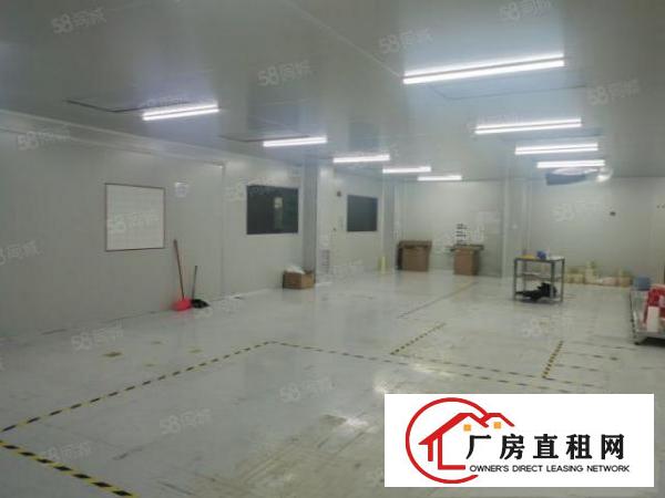  西旺工业区原房东700无尘车间