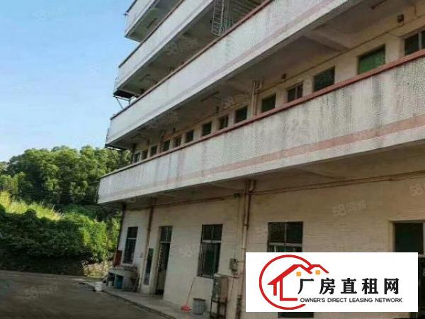  凤岗镇官井头独门独院一楼厂房出租3200平.可办环评