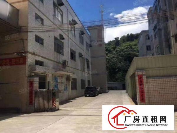  凤岗原房东独院带现成装修厂房6000平方报价16块可分租