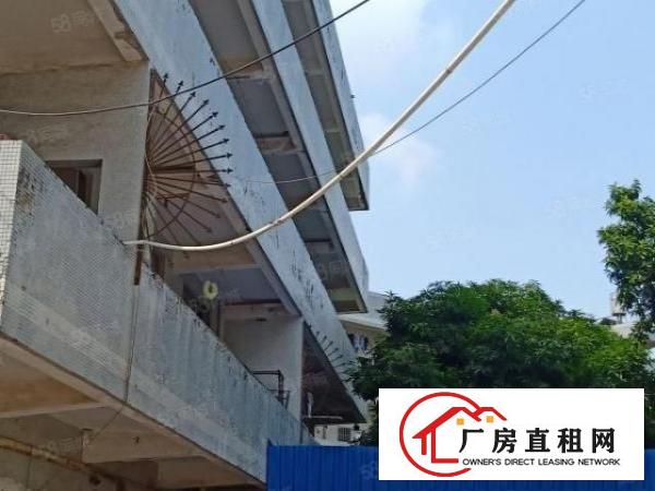  金凤凰新出独院厂房二楼整层800平米一手房东直接出租带装修
