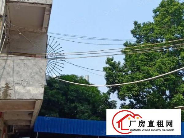  金凤凰新出独院厂房二楼整层800平米一手房东直接出租带装修