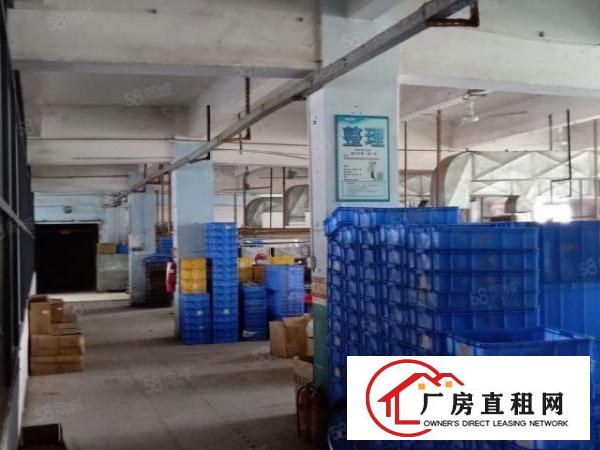  金凤凰新出独院厂房二楼整层800平米一手房东直接出租带装修