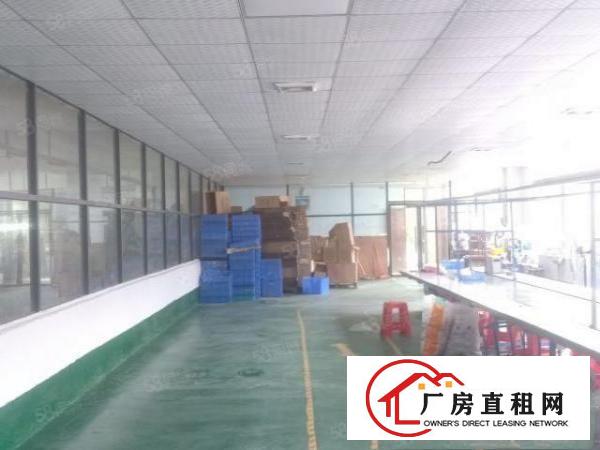  金凤凰新出独院厂房二楼整层800平米一手房东直接出租带装修
