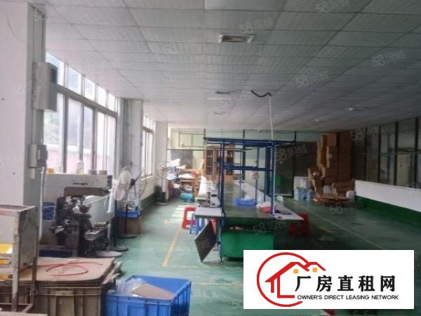 金凤凰新出独院厂房二楼整层800平米一手房东直接出租带装修