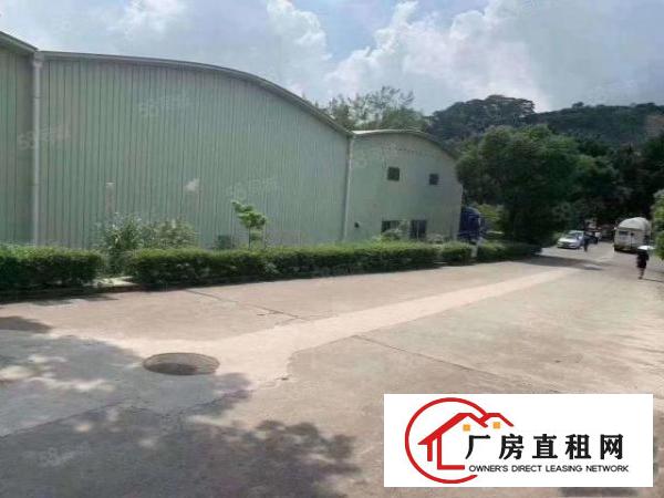  凤岗雁田原房独院钢结构6500平方空地超大带卸货平台交通便利