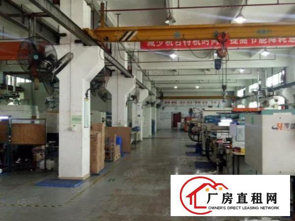  油甘铺新空出一二楼2400平方火爆招租