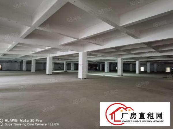 凤岗三联临时仓储整层6500平50米卸货平台可租短期