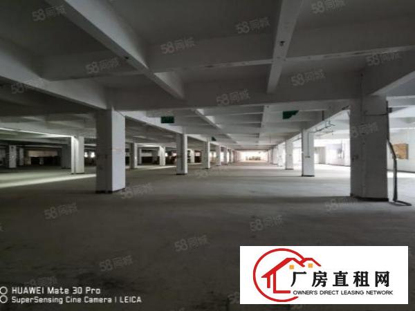  凤岗三联临时仓储整层6500平50米卸货平台可租短期