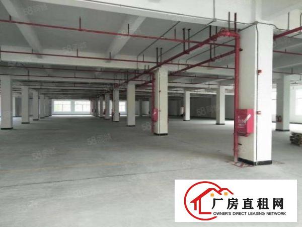  凤岗双证原房东楼上精装修厂房3960平方可分租