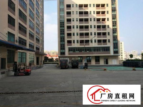  凤岗原房东全新厂房带卸货平台每层7000平方超大空地