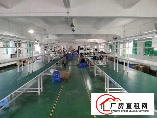  雁田南山工业城新出精装修二楼780平方位置