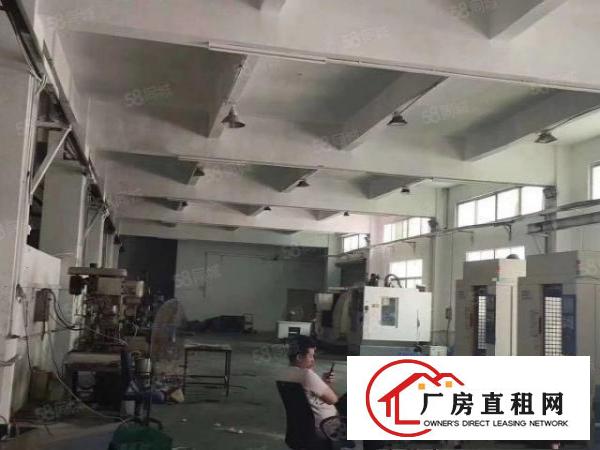  凤岗黄洞村新出一二楼3000平方工业厂房出租