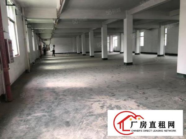  凤岗黄洞村新出一二楼3000平方工业厂房出租