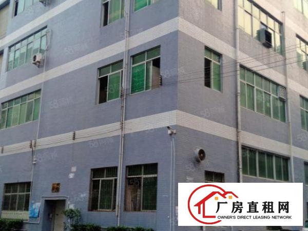  黄洞金磊工业园目前空置大量房源待租500平米起分租