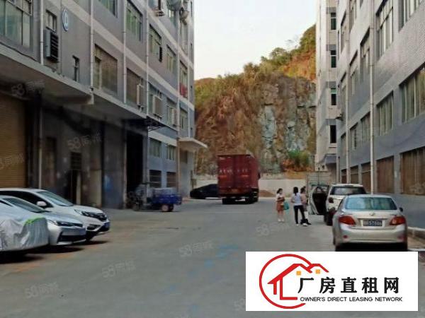  黄洞金磊工业园目前空置大量房源待租500平米起分租