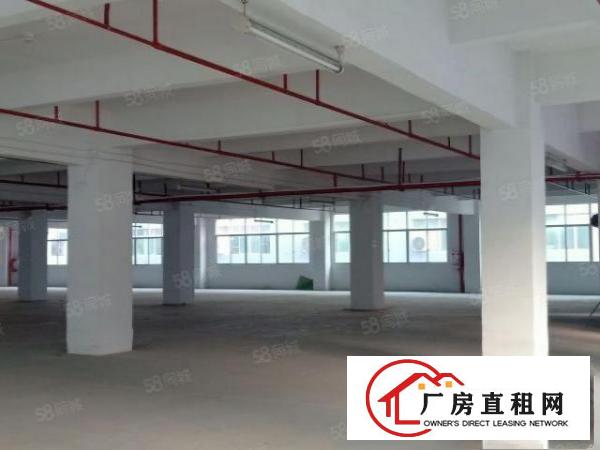  黄洞金磊工业园目前空置大量房源待租500平米起分租
