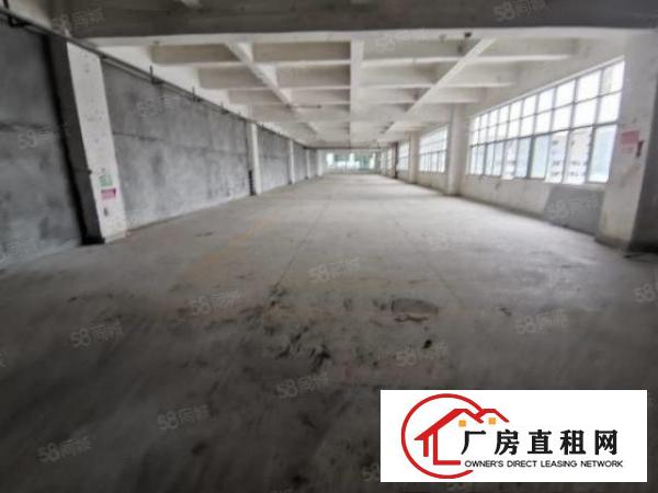  凤岗雁田新出独院单层面积11800空地3000平厂房出租