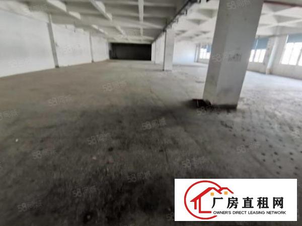  凤岗雁田新出独院单层面积11800空地3000平厂房出租