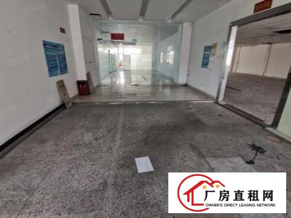  凤岗雁田新出独院单层面积11800空地3000平厂房出租