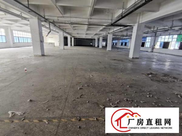  凤岗雁田新出独院单层面积11800空地3000平厂房出租