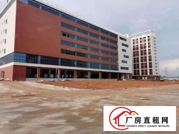  国道高速路口边超大单层独院厂房35000平方米带卸货台出租