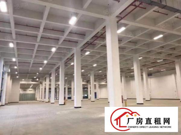  国道高速路口边超大单层独院厂房35000平方米带卸货台出租