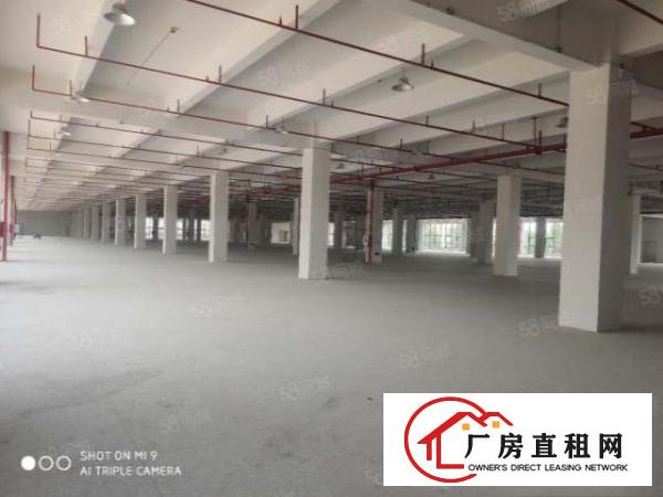  国道高速路口边超大单层独院厂房35000平方米带卸货台出租