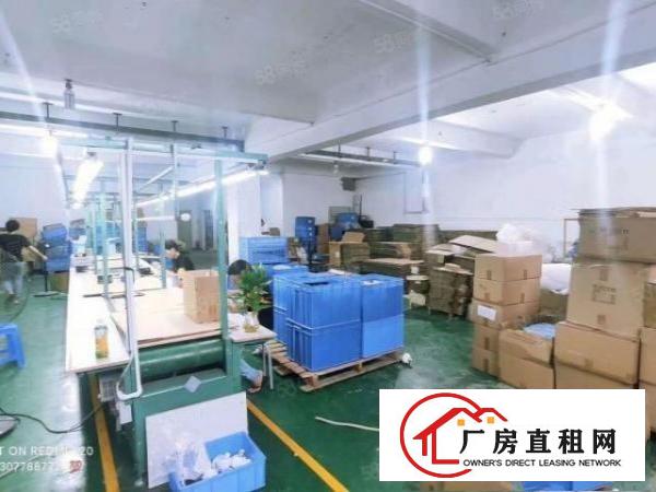  凤岗雁田布心近龙岗平湖2楼500平方现成装修办公室地坪漆
