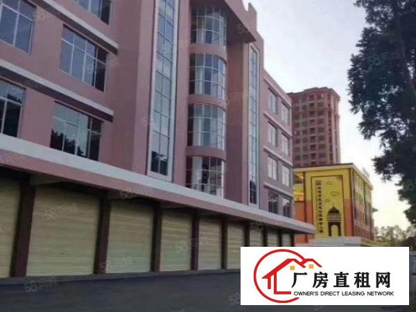  主干道旁好招工形象好凤岗楼上带装修厂房出租可以分租