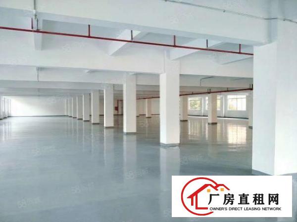  主干道旁好招工形象好凤岗楼上带装修厂房出租可以分租