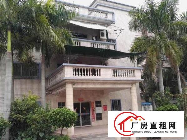  凤岗凤德岭独院6000平方！形象靓丽！内部现成装修