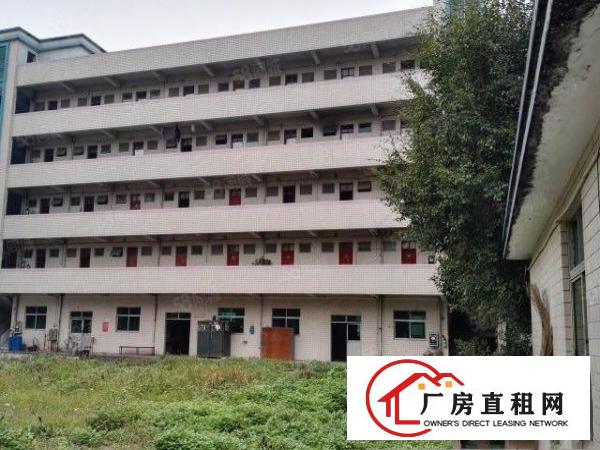  凤岗凤德岭独院6000平方！形象靓丽！内部现成装修