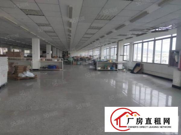  凤岗凤德岭独院6000平方！形象靓丽！内部现成装修
